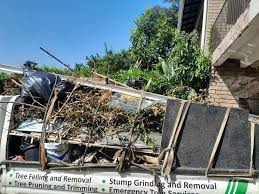 Best Commercial Junk Removal  in Mount Vernon, GA